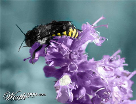 Photoshop Design by hrothert