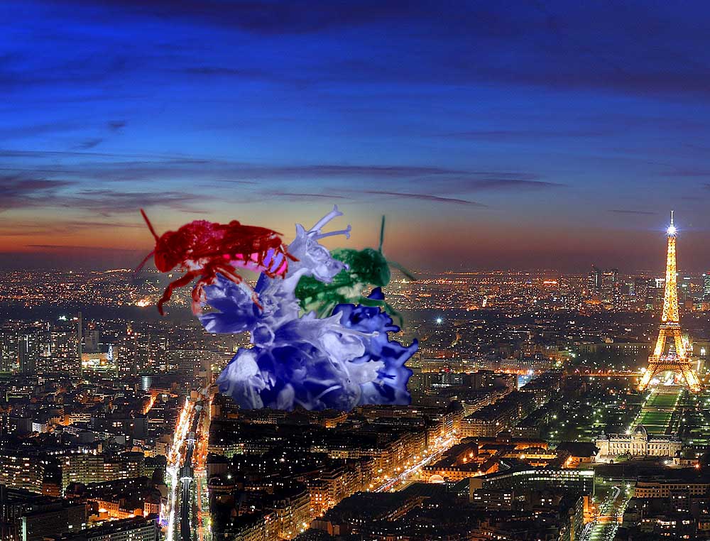 Design Photoshop par emmstill pour DesignCrowd (Community Contests) | Design #8950203