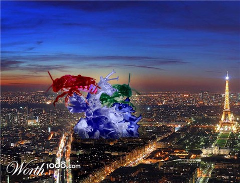 Photoshop Design by emmstill