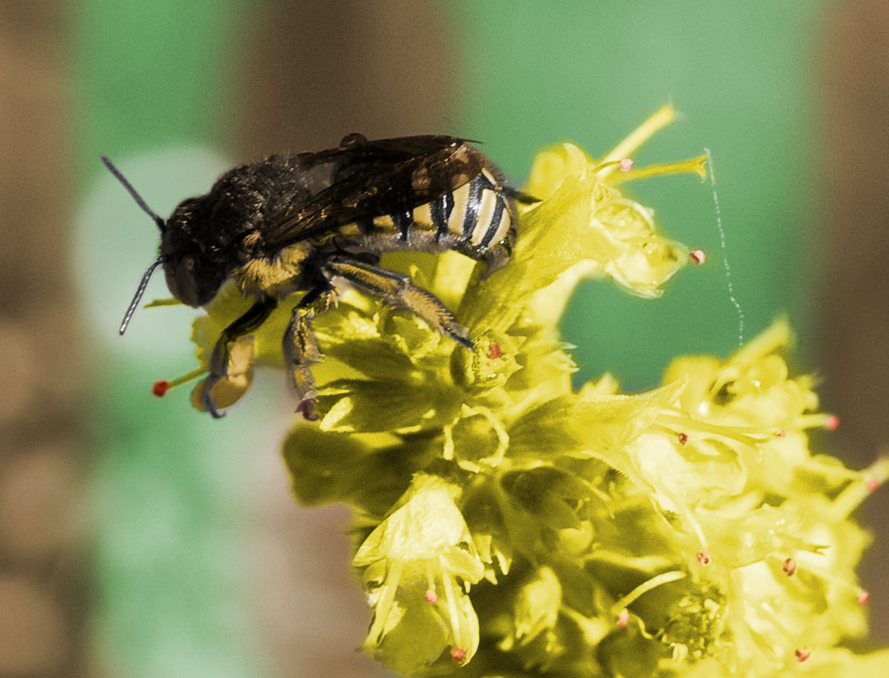 Diseño de Photoshop por GeoffRiley para DesignCrowd (Community Contests) | Diseño #8950219