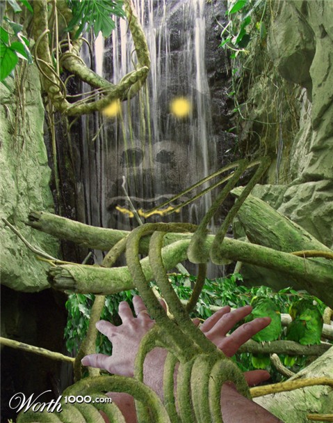 Photoshop Design by snakebit