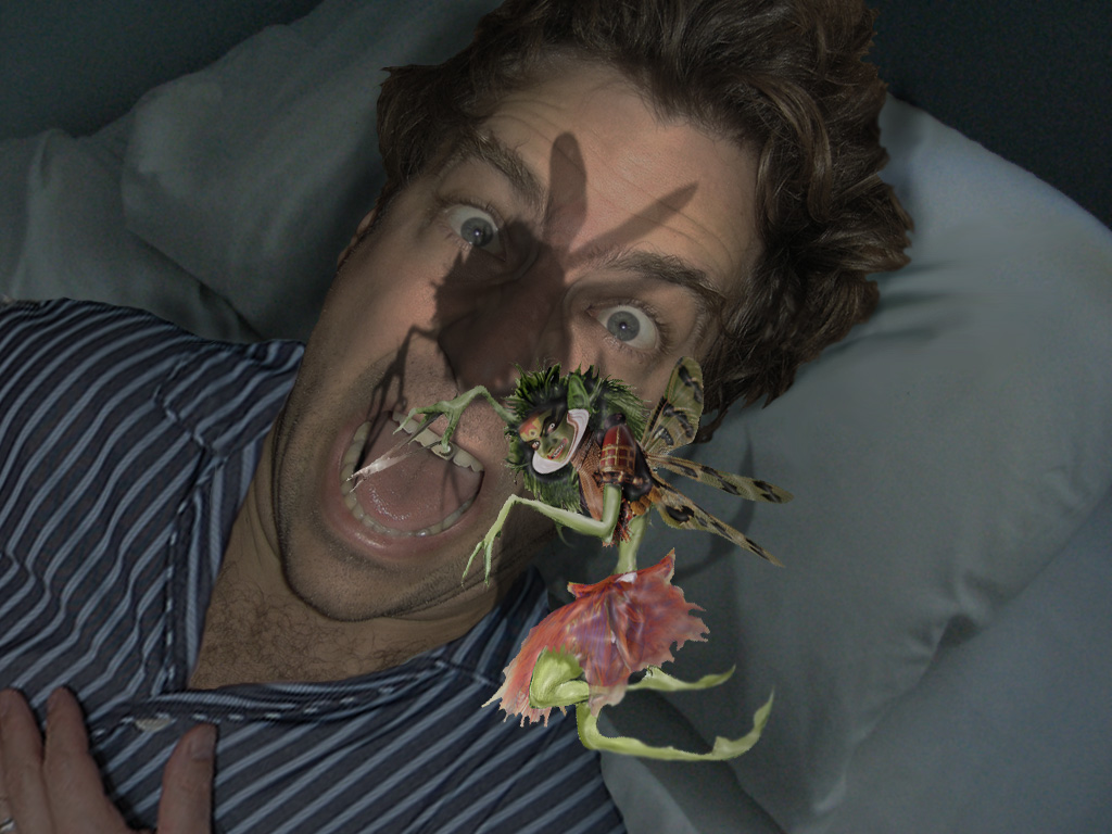 Diseño de Photoshop por madscotsman para DesignCrowd (Community Contests) | Diseño #8949047