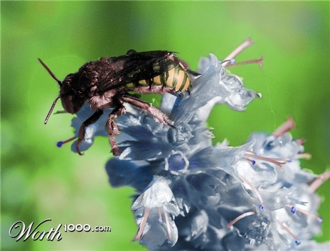 Photoshop Design by katzemann