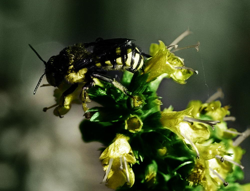 Photoshop Design by expiredmind for DesignCrowd (Community Contests) | Design #8950187