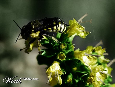 Photoshop Design by expiredmind