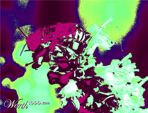 Photoshop Design by drpsilocybo