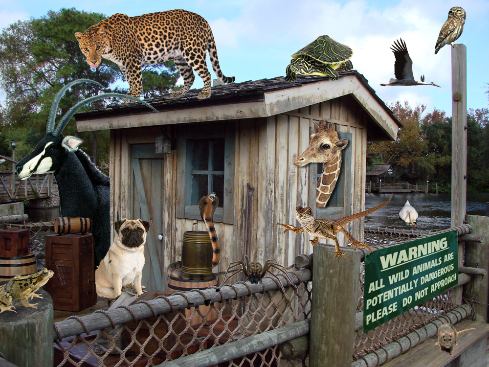 Photoshop Design by ayuhasca for DesignCrowd (Community Contests) | Design #8949114