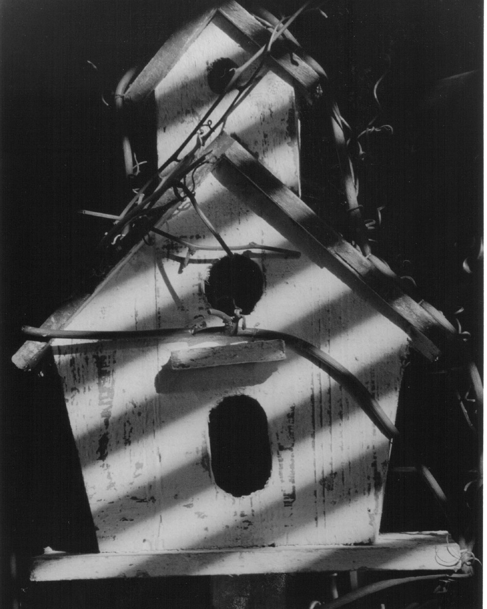 Photography by mindy3051 for DesignCrowd (Community Contests) | Design #8945289