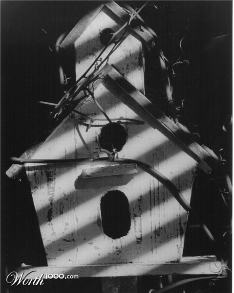 Photography by mindy3051