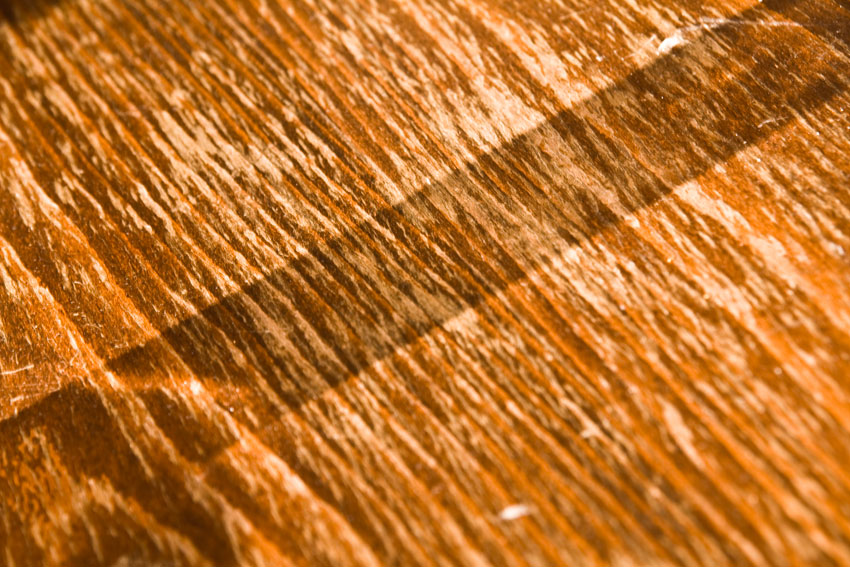 Photography by janhus for DesignCrowd (Community Contests) | Design #8945218