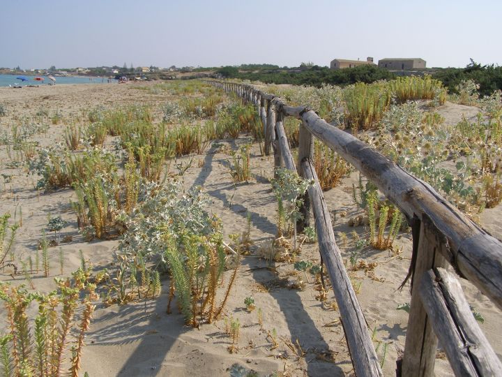 Photography by downknew for DesignCrowd (Community Contests) | Design #8945331