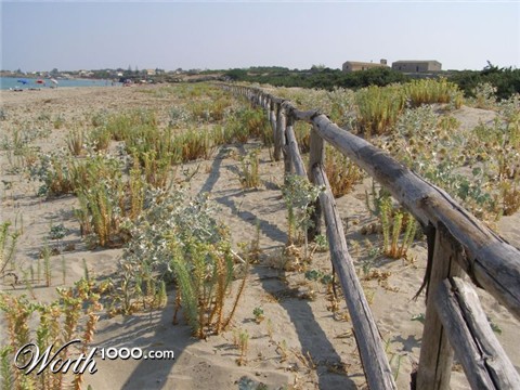 Photography by downknew