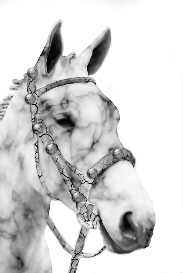 Photoshop Design by CDumais for DesignCrowd (Community Contests) | Design #8953563