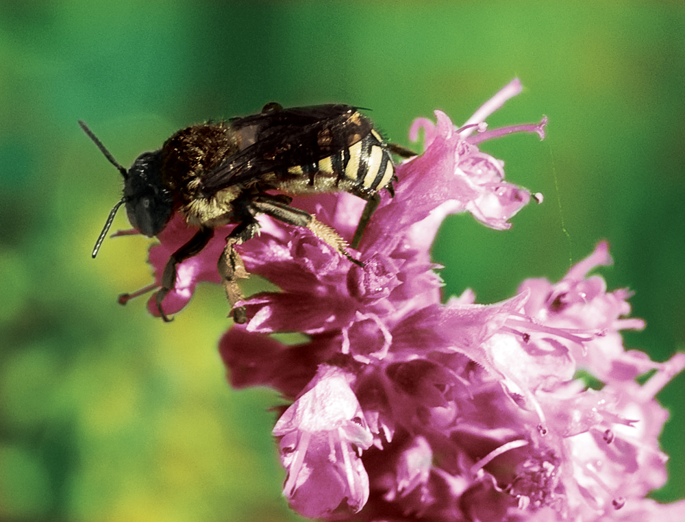 Photoshop Design by sssdesigner for DesignCrowd (Community Contests) | Design #8950181