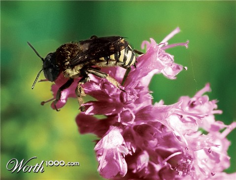 Photoshop Design by sssdesigner