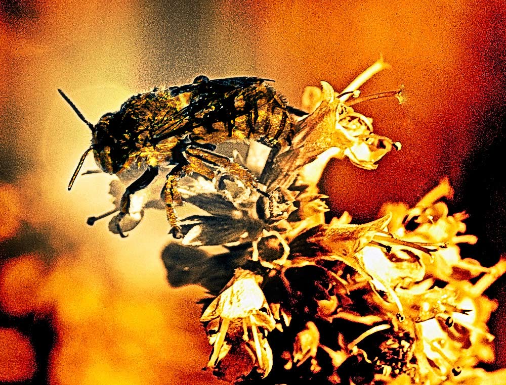 Photoshop Design by Nasturtium for DesignCrowd (Community Contests) | Design #8950367