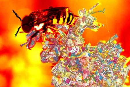 Diseño de Photoshop por JustinGill para DesignCrowd (Community Contests) | Diseño #8950280