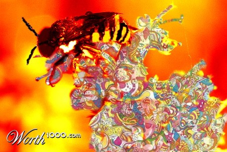 Photoshop Design by JustinGill