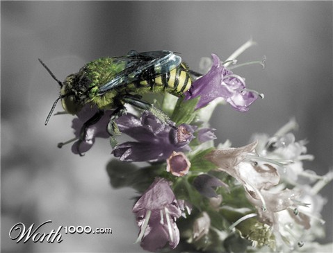 Photoshop Design by typ0graphic