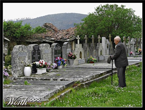 Photography by darynman