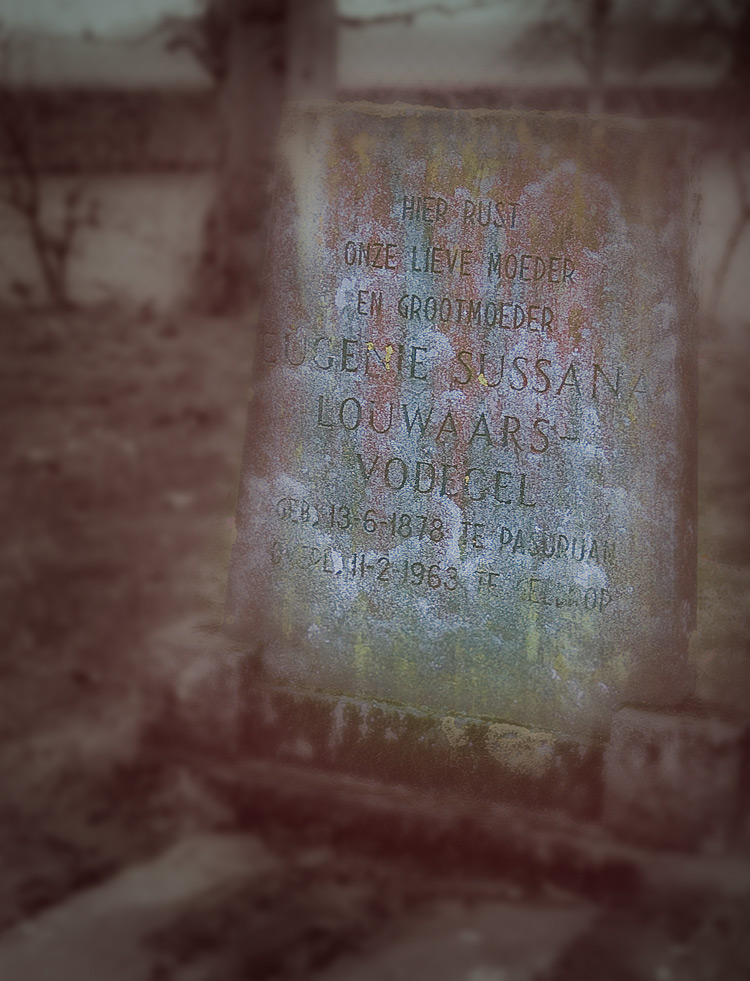 Fotografie von egonlinden für DesignCrowd (Community Contests) | Design #8944996