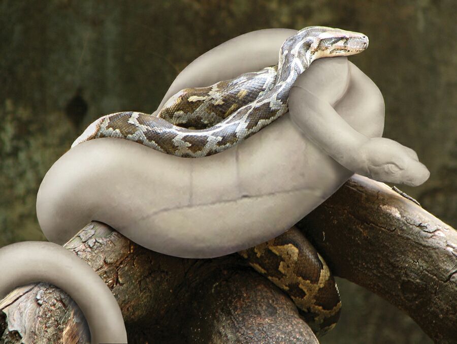 Design Photoshop par GeshaR pour DesignCrowd (Community Contests) | Design #8953662