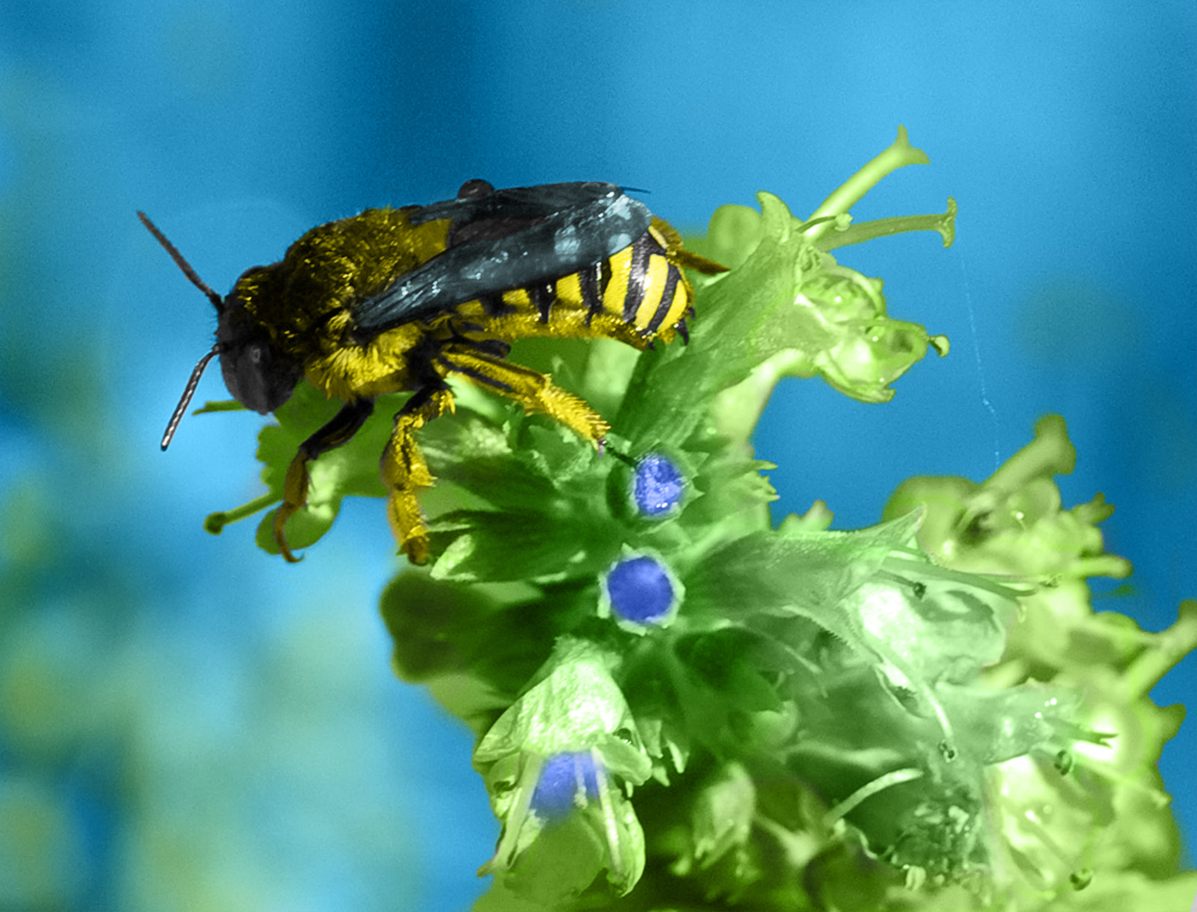 Photoshop-Design von PixelTestMT für DesignCrowd (Community Contests) | Design #8950320