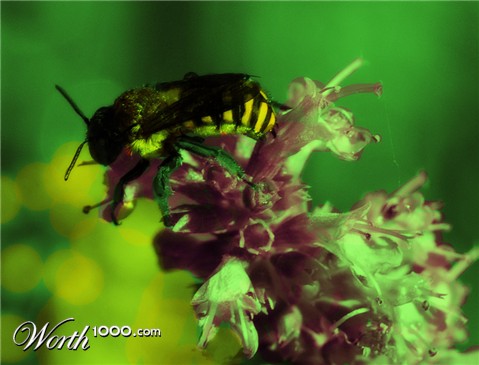 Photoshop Design by kristiankily