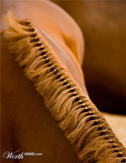 Photography by suram8456