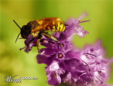 Photoshop Design by sandeshpshinde