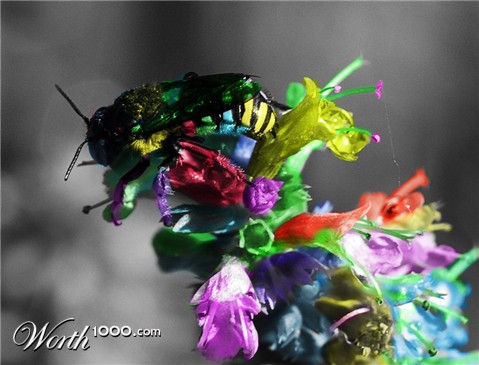 Photoshop Design by error5001