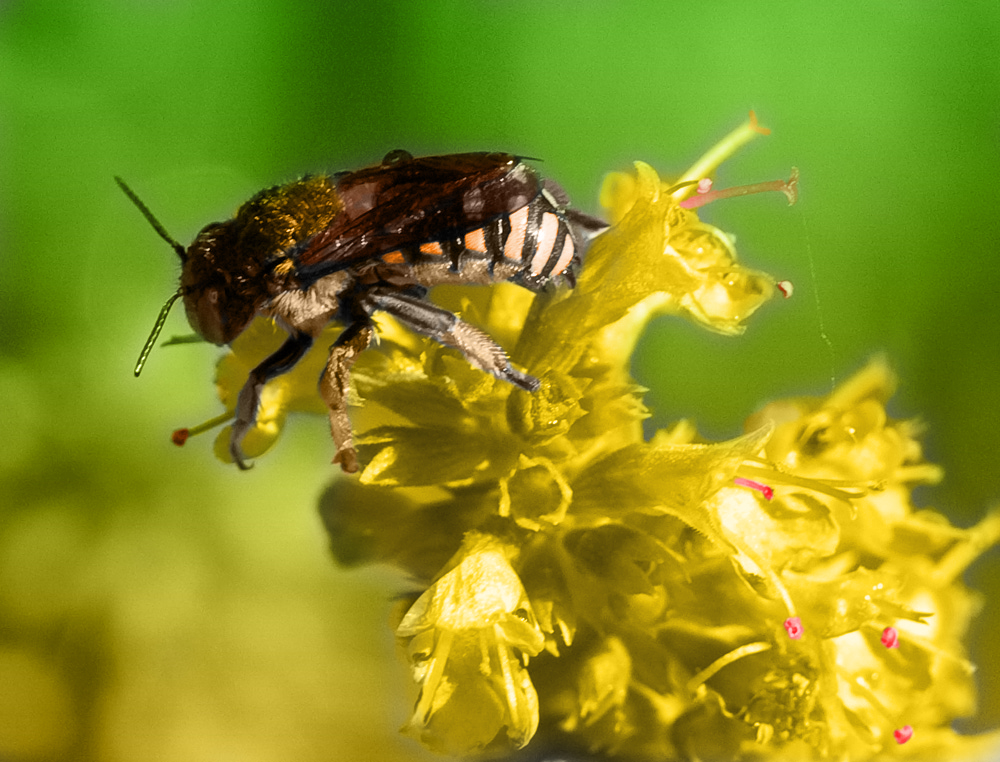 Photoshop Design by arteology for DesignCrowd (Community Contests) | Design #8950332