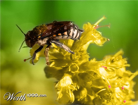 Photoshop Design by arteology