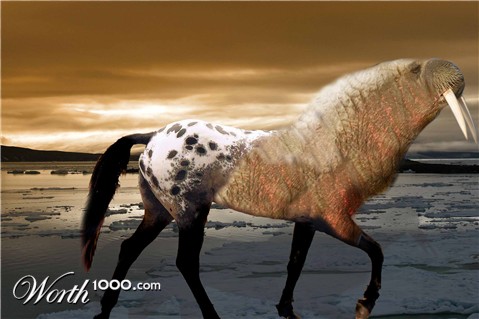 Photoshop Design by warstanka