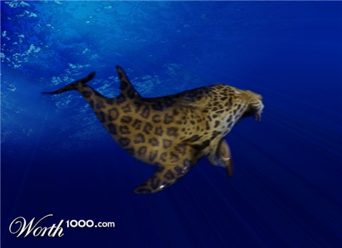 Photoshop Design by expiredmind