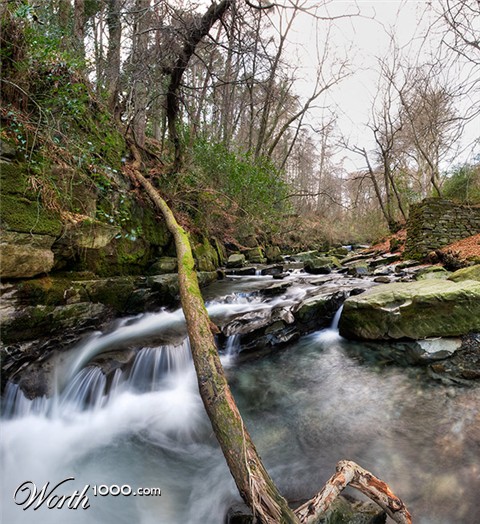 Photography by Ozzerr