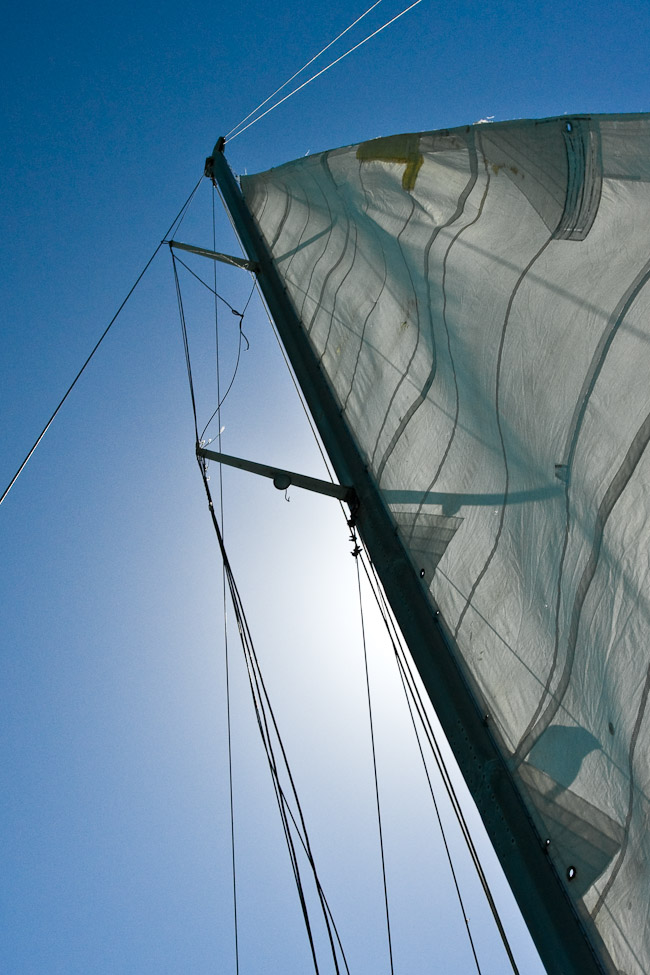 Photography by poc0loco for DesignCrowd (Community Contests) | Design #8945319