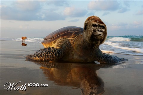 Photoshop Design by Danfantom