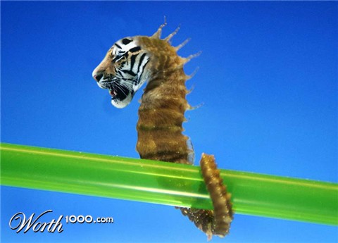 Photoshop Design by AnGi2101