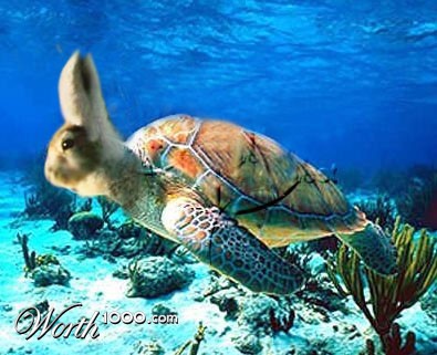 Photoshop Design by rgraffy2011