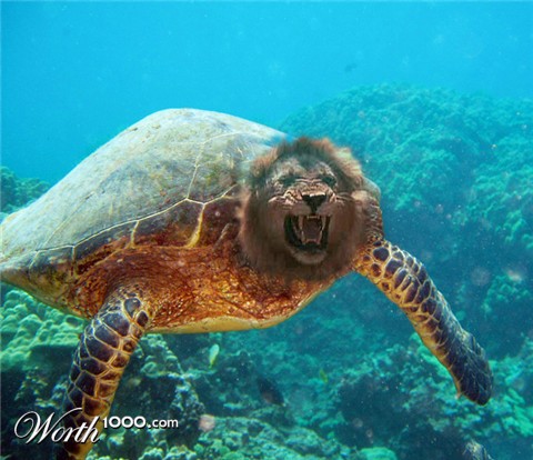 Photoshop Design by Seciesla