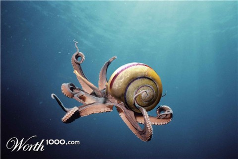 Photoshop Design by squadle