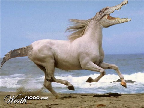 Photoshop Design by jprice2012