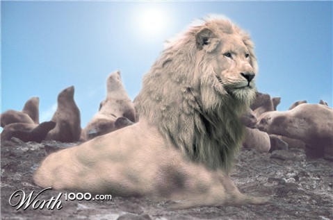 Photoshop Design by Zebulba76