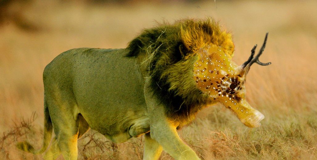 Diseño de Photoshop por warewullf para DesignCrowd (Community Contests) | Diseño #8948761