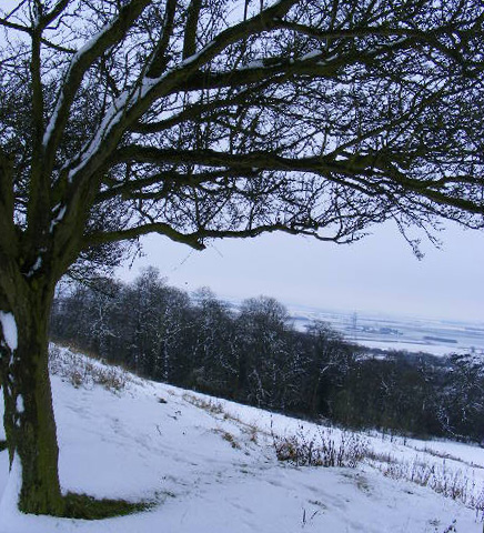 Photography by emmahanson13 for DesignCrowd (Community Contests) | Design #8945346