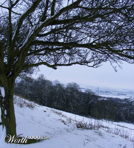 Photography by emmahanson13