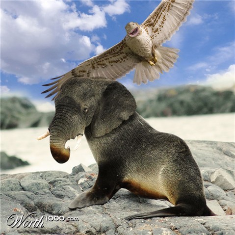 Photoshop Design by Coeffey