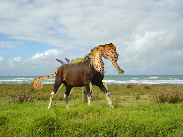 Photoshop Design by vipez for DesignCrowd (Community Contests) | Design #8948695