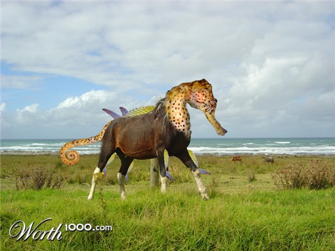 Photoshop Design by vipez